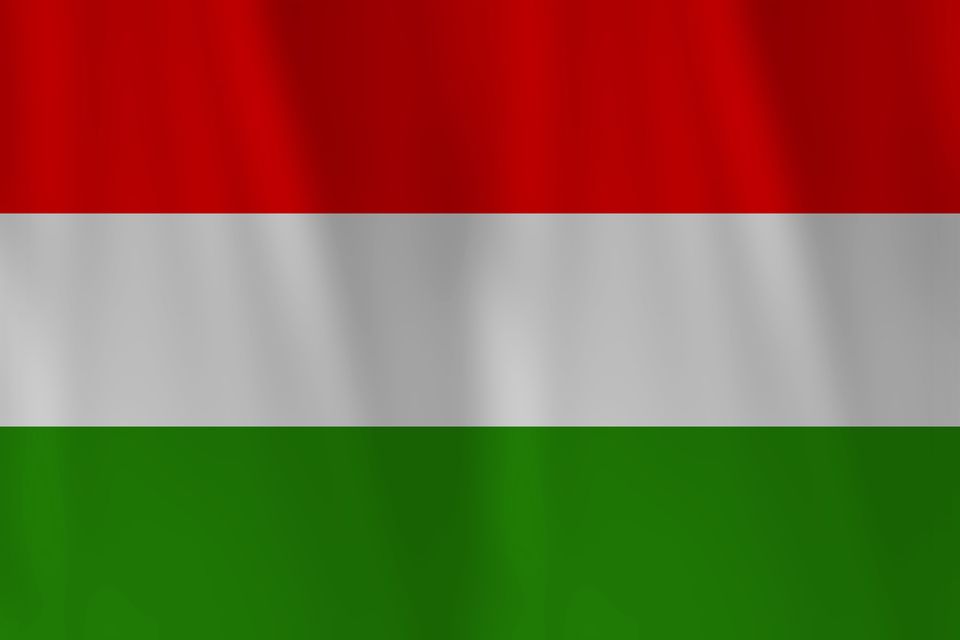 magyar (magyar)
