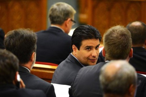 mesterházy attila (mesterházy, )