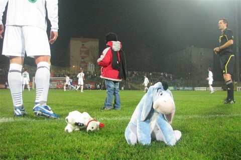 pluss-pmfc(960x640).jpg (pmfc, plüssállat, pécsi mfc, pécs)