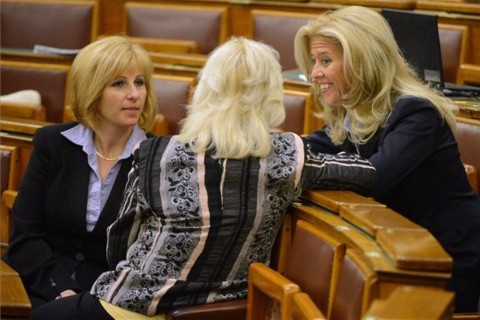 selmeczi gabriella (ingyenes, )