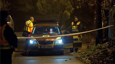 szén-monoxid-mérgezés (szén-monoxid-mérgezés)