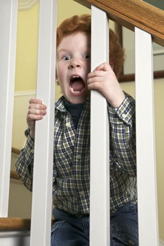 vörös haj (vörös haj, )