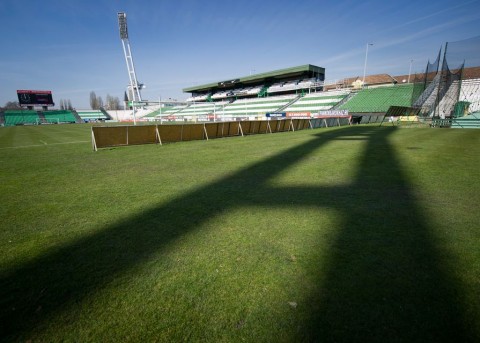 Albert Stadion (albert stadion, )