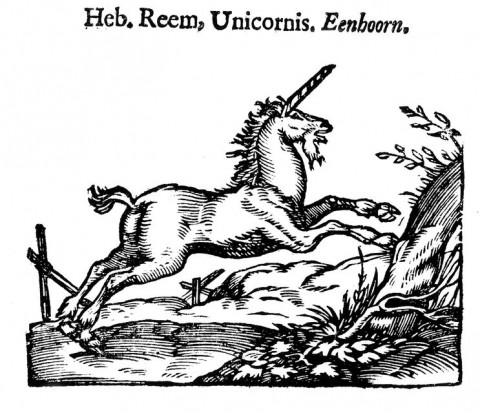 Egyszarvú (egyszarvú, unikornis, )