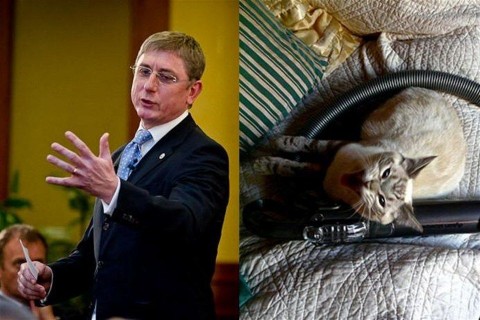 Gyurcsany-macska(960x640).jpg (gyurcsány ferenc, )