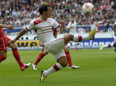 Hajnal Tamás (hajnal tamás, )