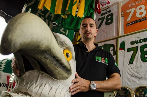 Zöld Sas (zöld sas)