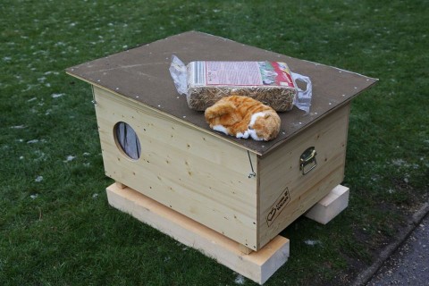 cicahotel (cicahotel)