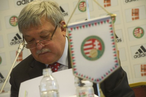 csányi sándor (csányi sándor, mlsz, )