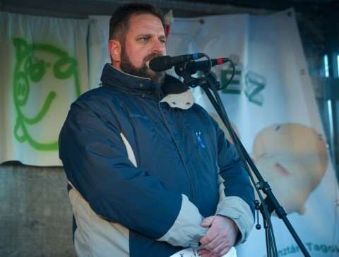 dániel péter (dániel péter)