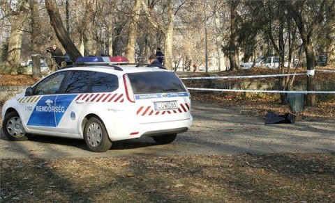 halott-csecsemo-a-Varosligetben(210x140)(2).jpg (halott csecsemő)