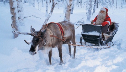 mikulás (rénszarvas, )