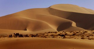 sivatag (sivatag)
