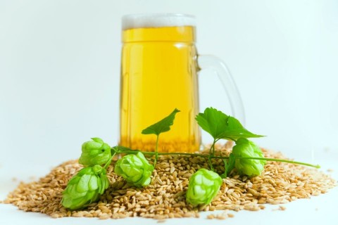 sör (sör, árpa, komló, )