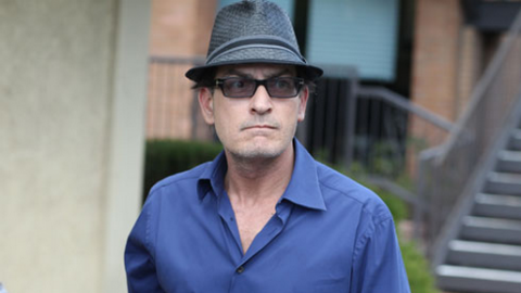 Charlie Sheen (charlie sheen, )