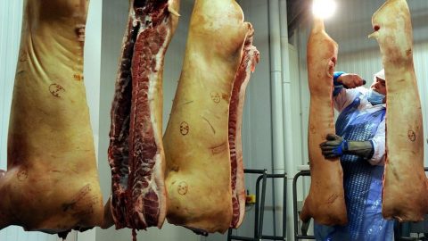 Husuzem(1)(430x286)(1).jpg (húsüzem)