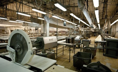 Kapuvári húsgyár (Kapuvári húsgyár)