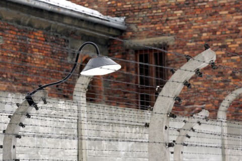 auschwitz (auschwitz, )