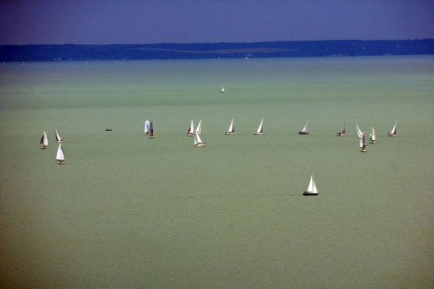 balaton (vitorlás, vitorlaverseny, )