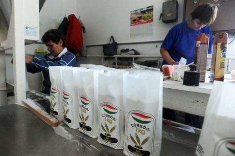 dömsödi malom (malom, liszt, családi vállalkozás)