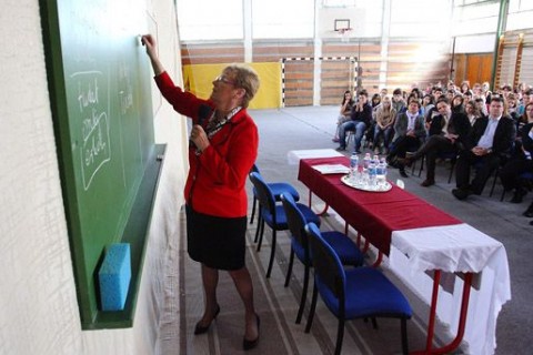 hoffmann rózsa (hoffmann rózsa)