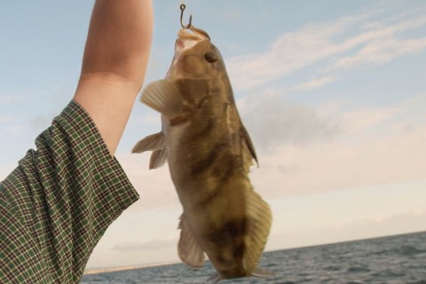 horgász hallal (hal, horgász, )