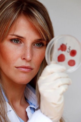 kutató vírus (kutató vírus)