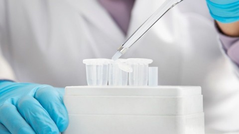 laboratórium (kísérlet, )