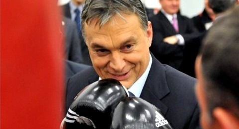 orban-viktor-bokszol(430x286)(1).jpg (orbán viktor )