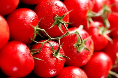 paradicsom (paradicsom, )