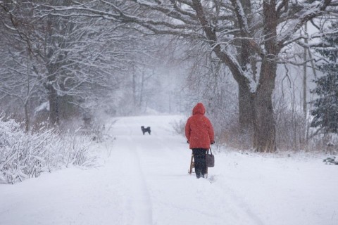 tél (hó, havazás, )