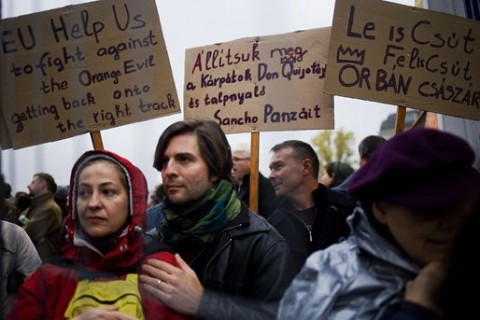 tüntetők (tüntetők, )