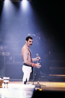 Freddie Mercury (freddie mercury, )