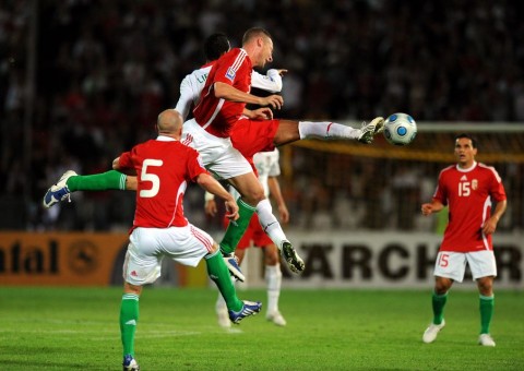 Gyepes Gábor (gyepes gábor, )