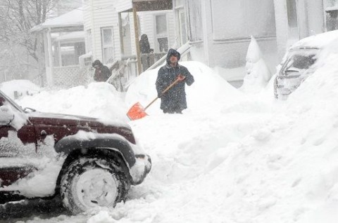 Hóvihar USA (hóvihar)