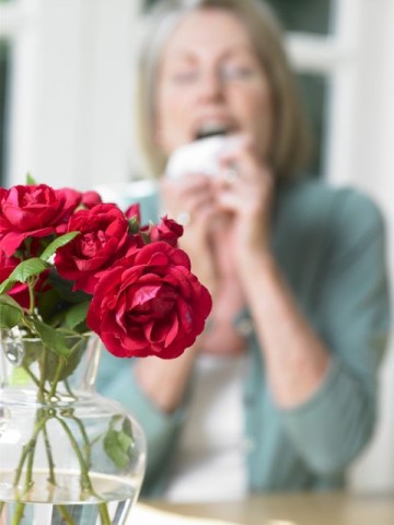 allergia (allergia, )