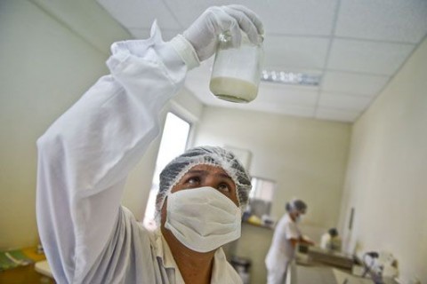 anyatej (Anyatej, Labor, )