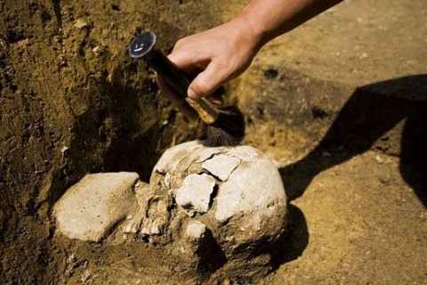 ásatás (ásatás, régészet, feltárás, koponya, )