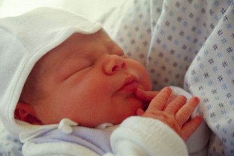 baba(430x286)(2).jpg (baba, újszülött, )