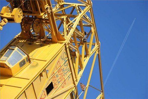 daru, tüntetés  (daru, tüntetés, )