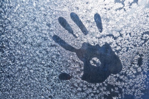 fagy(210x140)(1).jpg (fagy)