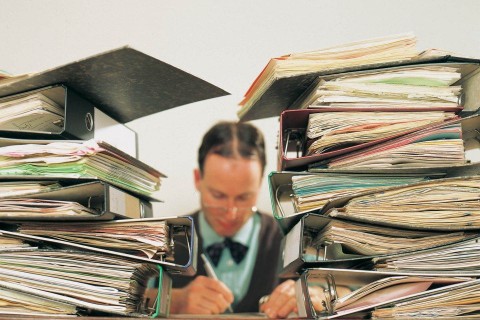 könyvelő (könyvelés, )