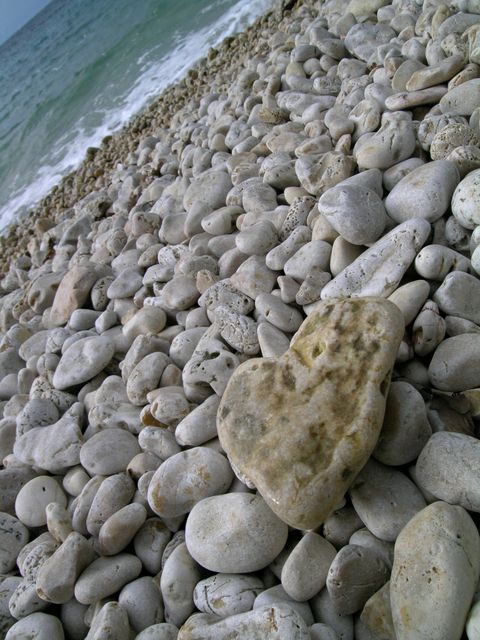 tengerpart kövek (kövek, tengerpart, )