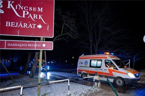 tűz a kincsem parkban (kincsem park, kincsem park, )