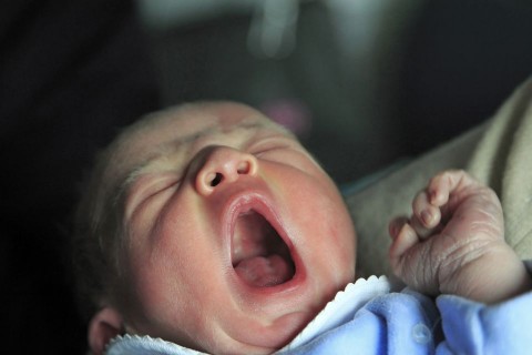 ujszulott(960x640)(1).jpg (újszülött, )