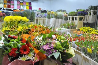 virágpiac (virágpiac)