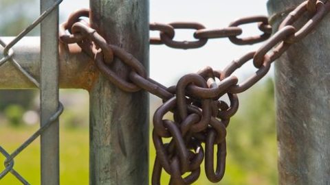 zárva (zárva, illusztráció, )