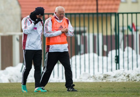 Egervári Sándor (egervári sándor, )