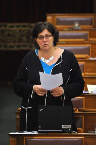 Ertsey Katalin LMP képviselő (Ertsey katalin, LMP )