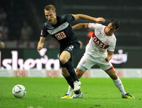 Hajnal Tamás (hajnal tamás, )